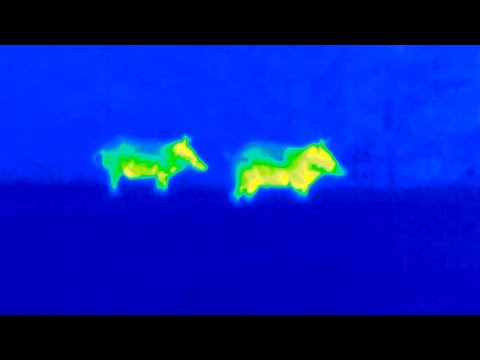 Pulsar Axion Key XM30 2.5-10x24mm Thermal Imaging Monocular Review 3 hqdefault