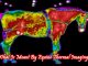 what-is-meant-by-equine-thermal-imaging