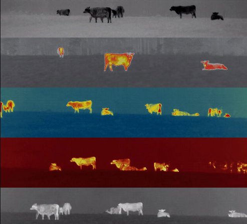 Pulsar Quantum XD50S Thermal Imaging Monocular Review 9 Pulsal Quantum XD50S Thermal Monocular